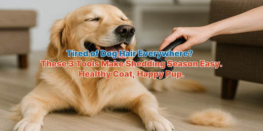 A happy golden retriever being brushed with a slicker brush, showing reduced shedding and a calm, relaxed expression during grooming.