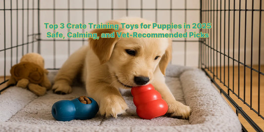 Golden retriever puppy in a crate playing with a red rubber toy on a plush bed, surrounded by safe and soothing crate training toys for puppies.