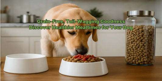 A golden retriever enjoying a meal with a grain-free dog food topper, representing healthy and natural dog food options for picky eaters.