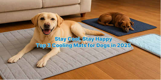 Golden and brown dogs resting on quilted cooling mats in a cozy living room, showcasing top pet cooling mat options for summer comfort.