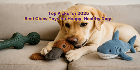 A Labrador playing with a platypus chew toy on a sofa, surrounded by durable dog toys including a shark plush and textured rubber bone.