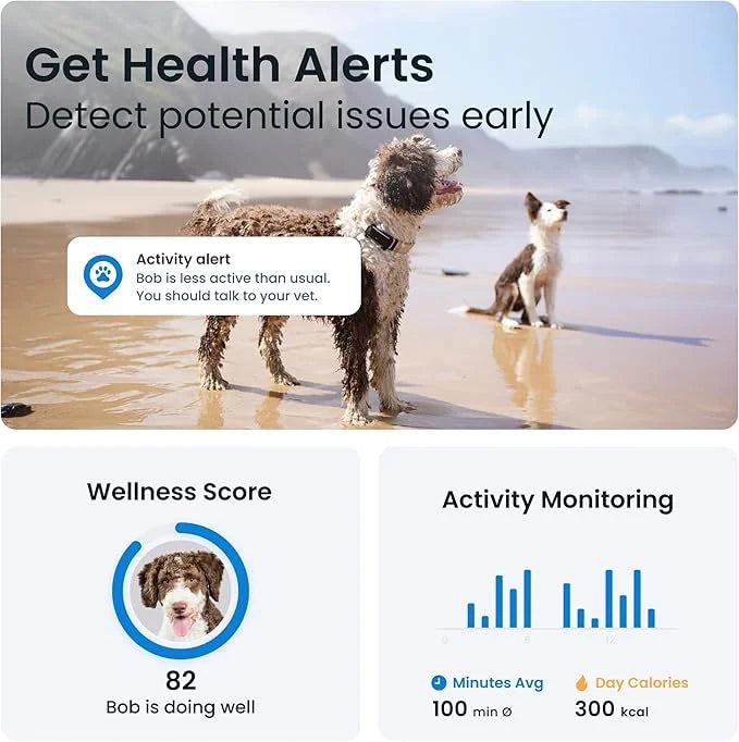 Tractive GPS Dog Tracker (2025 Release) | Real-time Pet Location Tracker | Health & Wellness Alerts | Virtual Fence for Do...