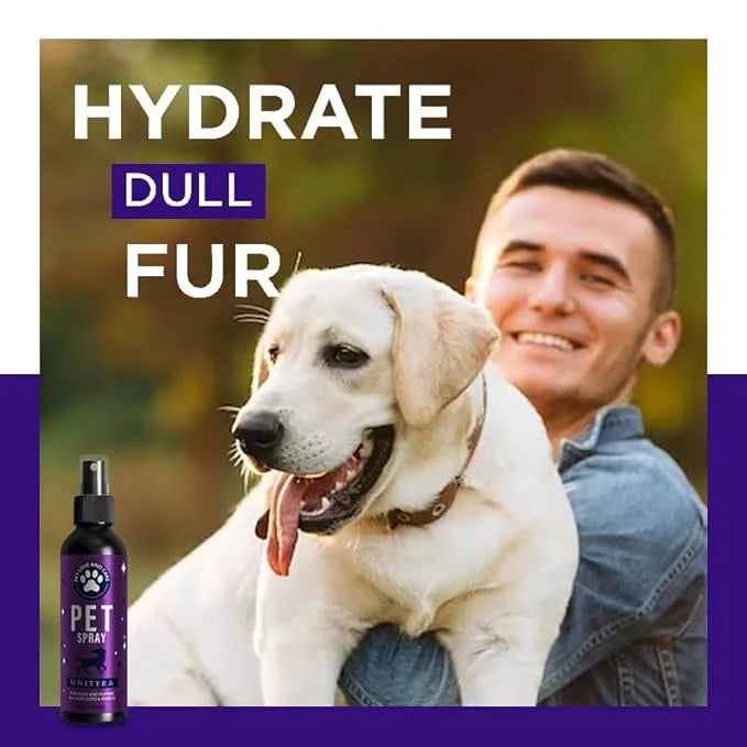 Pet Deodorizing Spray –Lavender Essential Oil | Odor Eliminator for Cats & Dogs, For All Ages, Sizes and Breeds| Safe for ...