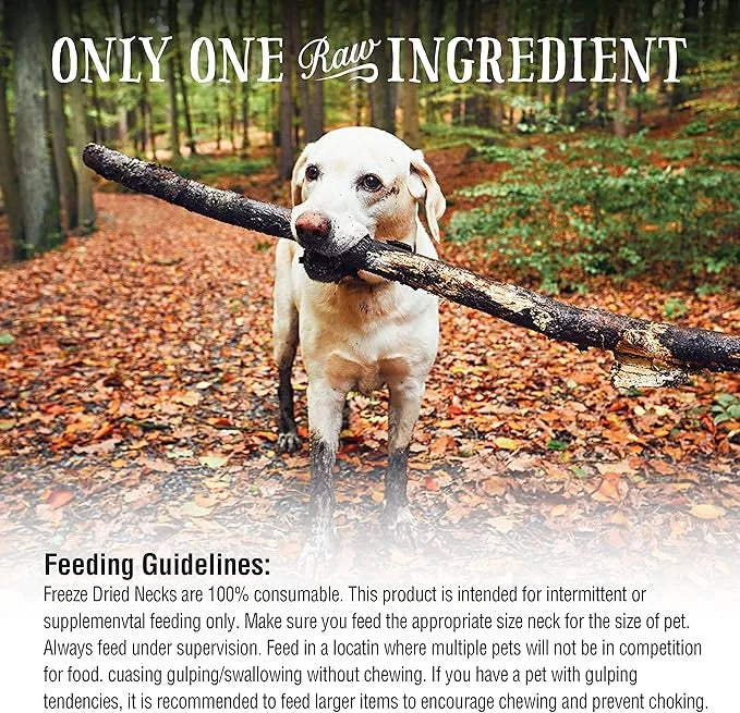 Northwest Naturals Raw Rewards Freeze-Dried Turkey Neck Treats for Dogs and Cats - Whole Neck - Healthy, 1 Ingredient, Hum...