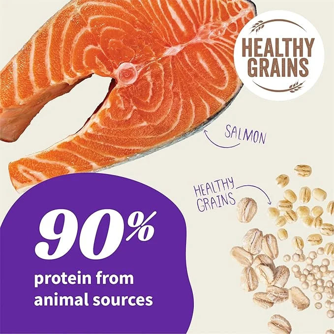 HALO Elevate Dry Dog Food, Healthy Grains Salmon Recipe, 3.5lb - Product Image