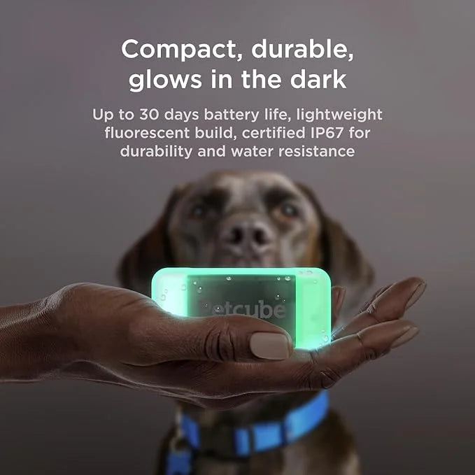 Petcube GPS Tracker for Dogs | Pet GPS Location Tracker with Escape Alerts and Virtual Fences, Activity and Wellness Monit...