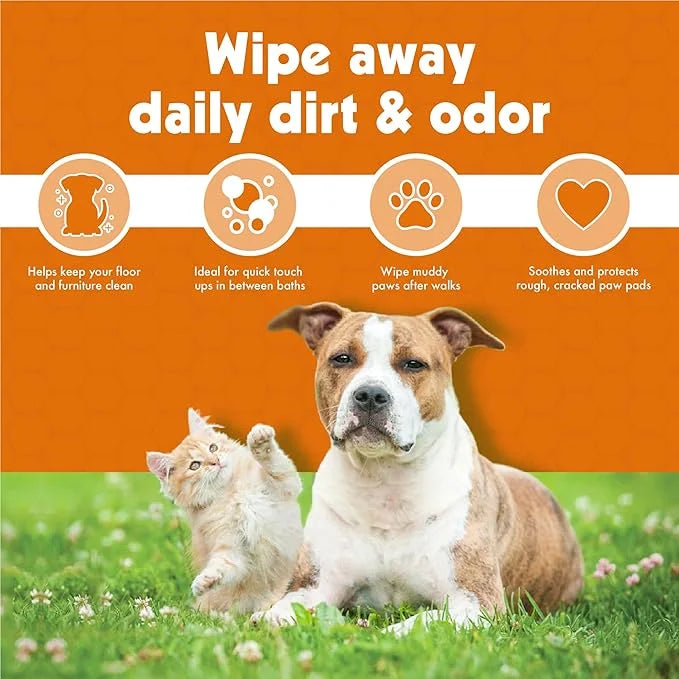 Petkin Big N' Thick Paw Wipes for Dogs, 100 Large Wipes (4 Pack) - Clean Dirty Paws After Walks, with Paw Balm Protectant ...