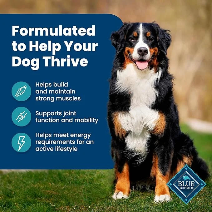 Blue Buffalo Life Protection Formula Adult Dry Dog Food, Helps Build and Maintain Strong Muscles, Made with Natural Ingred...