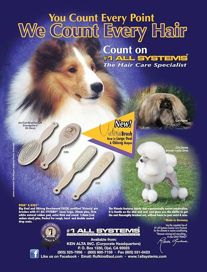 #1 All Systems D908 - Victoria Pin Brush - Product Image