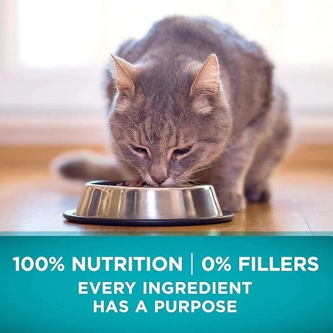 Purina ONE Natural, High Protein, Grain Free Dry Cat Food, True Instinct With Real Chicken - 3.2 lb. Bag - Product Image