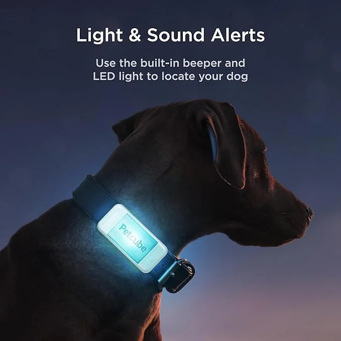 Petcube GPS Tracker for Dogs | Pet GPS Location Tracker with Escape Alerts and Virtual Fences, Activity and Wellness Monit...
