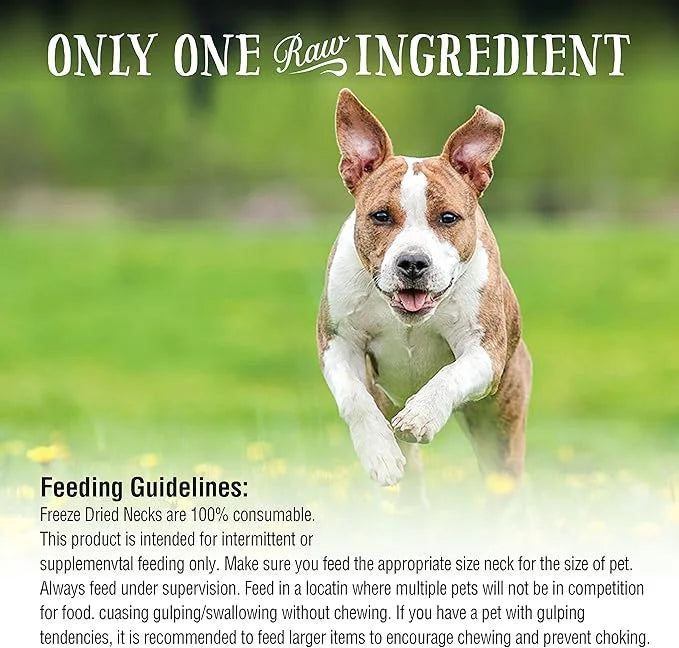 Northwest Naturals Freeze-Dried Raw Rewards Variety Pack for Dogs & Cats - Duck (4 Oz), Chicken (5 Oz), Turkey (6 Oz) - He...