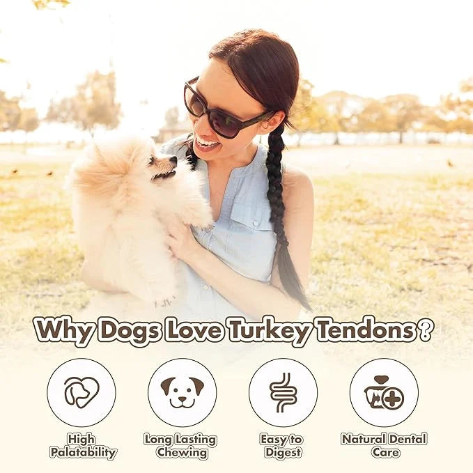Turkey Tendon for Dogs, Turkey Tendon Lollipop Pack of 4, 100% Natural, USA-Sourced, High-Protein, Low-Fat, Grain Free, Ch...