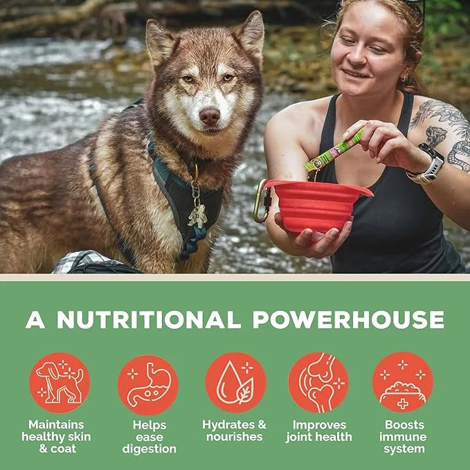 Brutus Broth Instant On The Go Vegetable Powder for Dogs - Vegetable Powder with Omegas 3, 6 & 9 & Turmeric - Human Grade ...