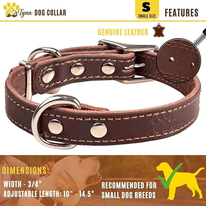 Heavy Duty Leather Dog Collar for Small Dogs - Soft and Strong Dog Collar for Puppy or Small Dogs (Small: Fit 10" - 14.5" ...