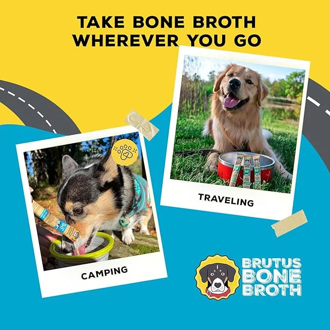Brutus Bone Broth for Dogs - Bone Broth Powder with Chondroitin Glucosamine & Turmeric - Human Grade Dog Food Toppers for ...