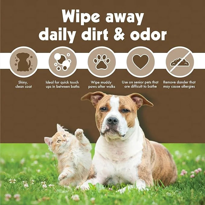 Petkin Mega PetWipes, 200 Wipes - Oatmeal Pet Wipes for Dogs and Cats, Use on Face, Paws, Ears, Body and Eye Area - Ideal ...