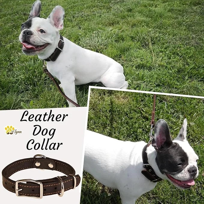Heavy Duty Black Leather Dog Collar - Soft and Strong Dog Collar for Puppy or Small Dogs (Small: Fit 10" - 14.5" Neck, Bla...