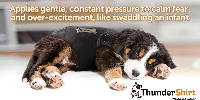 ThunderShirt for Dogs, X Large, Fuchsia Sport - Dog Anxiety Relief Calming Vest - Product Image