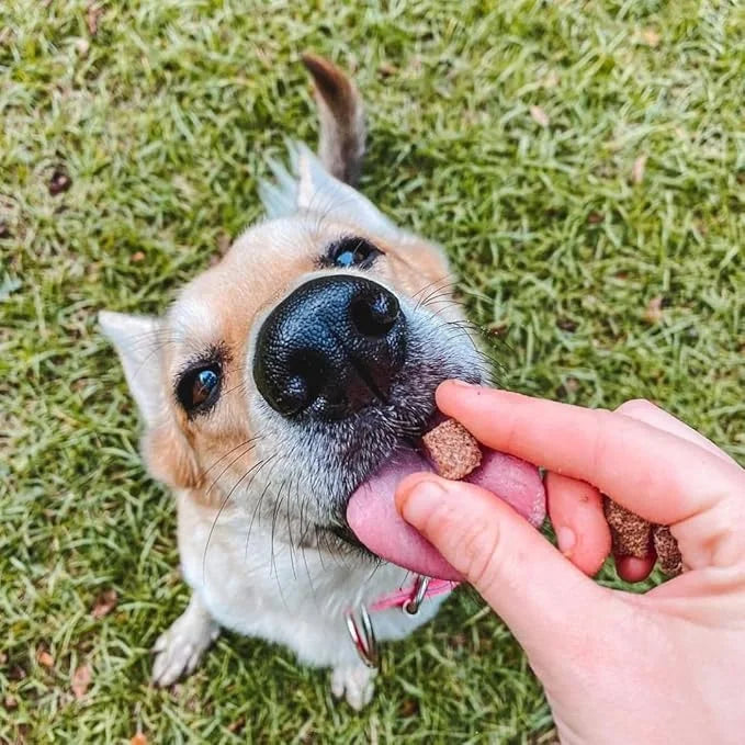 HOLI Elk & Venison Freeze Dried Dog Treats - All Natural and Wild Caught | Vitamin and Mineral Fortified | Made in USA - H...