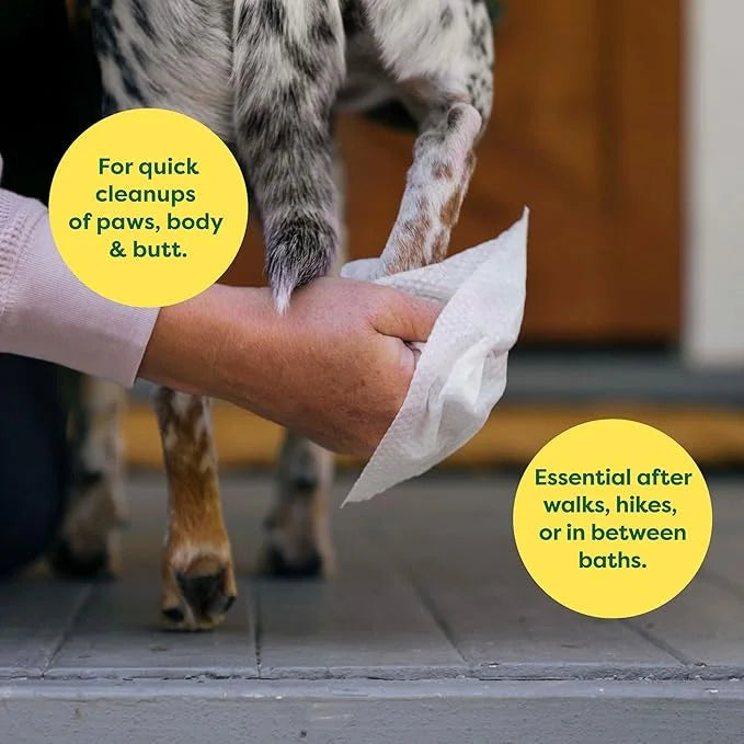 Earth Rated Hypoallergenic Dog Grooming Wipes for at Home & On-The-Go, for Paws, Body & Butt, Includes 4 Travel and Full S...