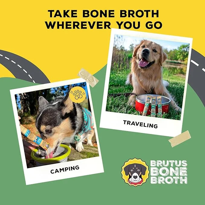 Brutus Bone Broth for Dogs - Bone Broth Powder with Chondroitin Glucosamine & Turmeric - Human Grade Dog Food Toppers for ...