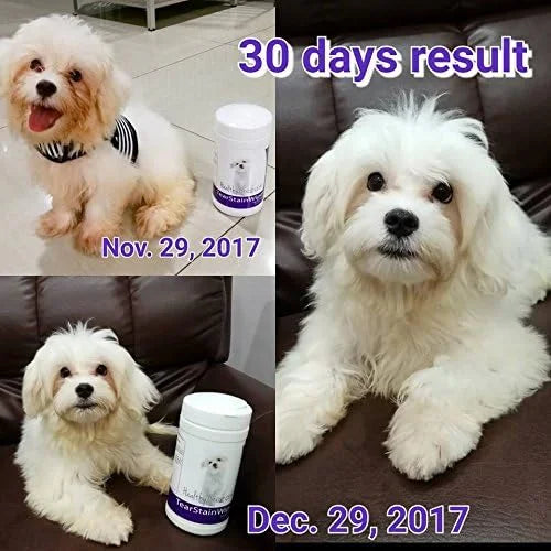 Healthy Breeds Yorkshire Terrier Tear Stain Wipes 70 Count (Pack of 2) - Product Image