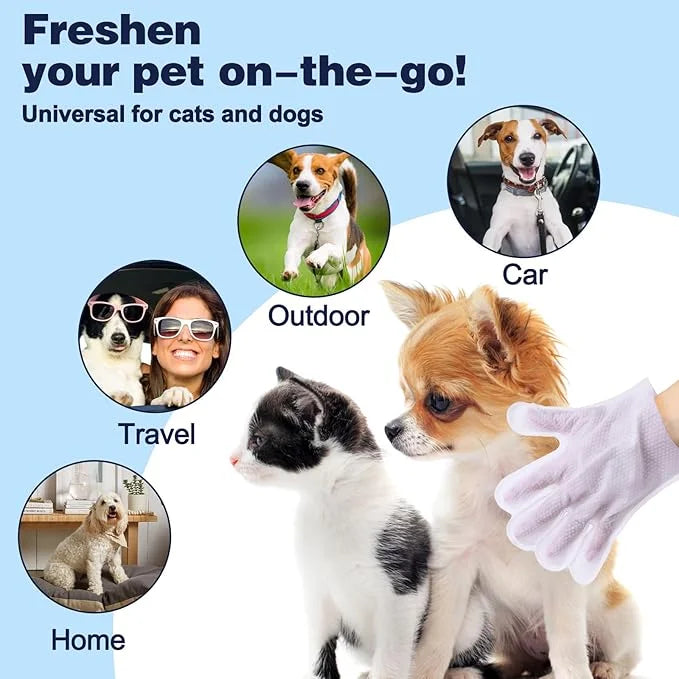 Pet Glove Wipes for Dogs, Dog Cleaning Gloves with Coconut Scented, Dual-Sided Pet Gloves Grooming for Cats with Wipes, Do...