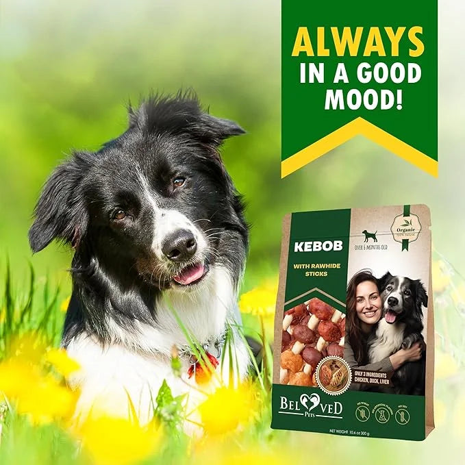 Kabobs Dog Rawhide Treats with Duck & Chicken Human Grade Meat - All Natural & Organic Dried Snacks - Grain Free Long Last...