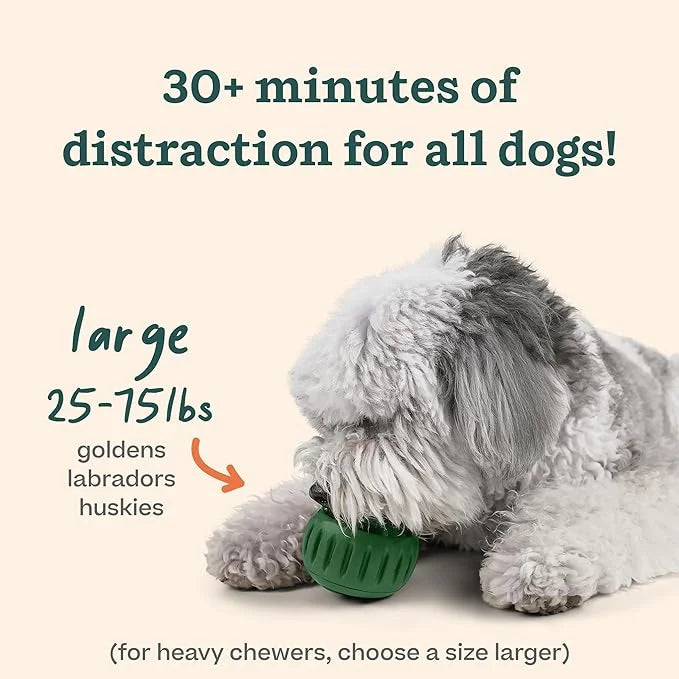 WOOF Pupsicle - Long-Lasting Interactive Dog Toy to Keep Your Pup Distracted - Safe for Dogs - Low-Mess Design - Dog Toys ...