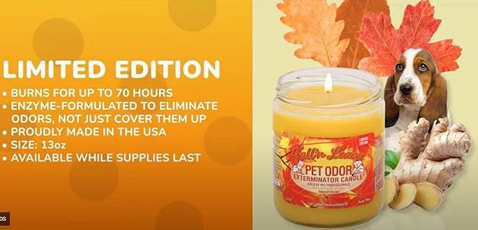 0 Candle Fall 'N Leaves - Product Image