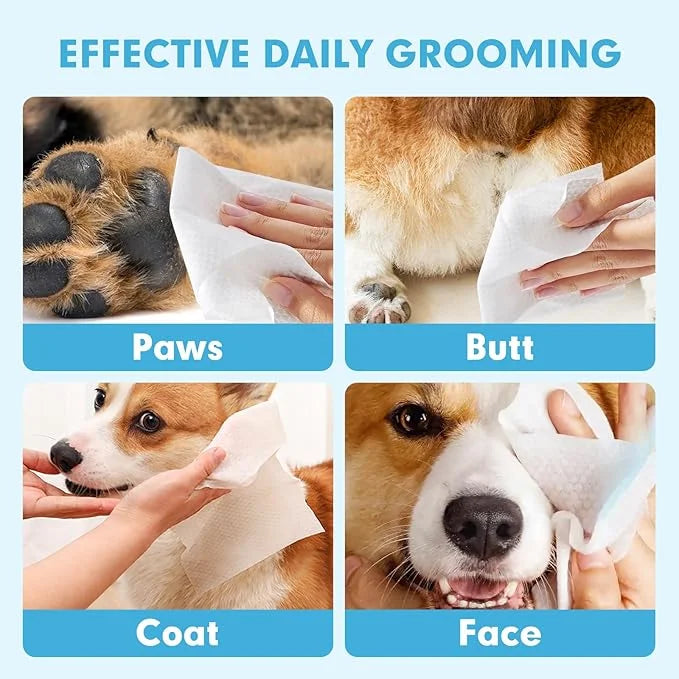 200 Cleaning & Deodorizing Guaranteed Dog Grooming Wipes - Hypoallergenic Pet Wipes for Allergies & Itching - Thick Puppy ...