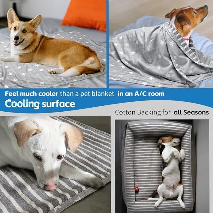 ARGOPET Dog Cooling Blanket 28 * 21inch Lightweight Self Cooling Blanket Bed Cover for Dog Cat Summer Blanket &Ice Silk Co...