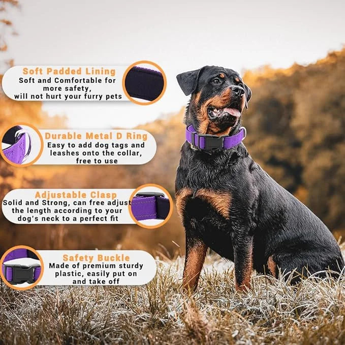 2 Pack Reflective Dog Collar with Safety Locking Buckle, Adjustable Soft Breathable Comfortable Nylon Pet Collar for Small...
