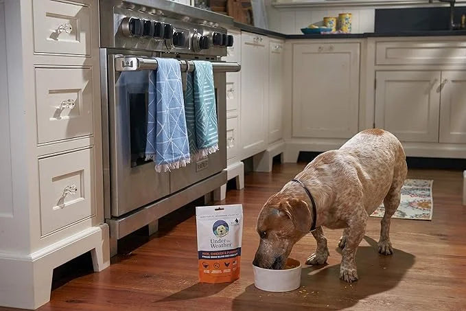 Under the Weather Bland Diet for Dogs | Easy to Digest for Sick Dogs |Always Be Ready | Contains Electrolytes - All Natura...