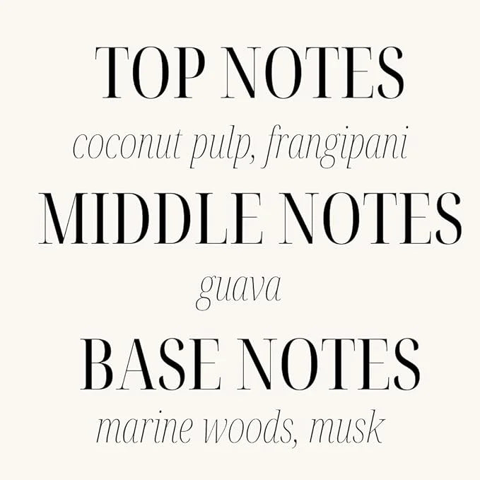 Sand + Paws Scented Candle - California Beach House–Luxurious Air Freshening Jar Candles Neutralize pet Odors and Enhance ...