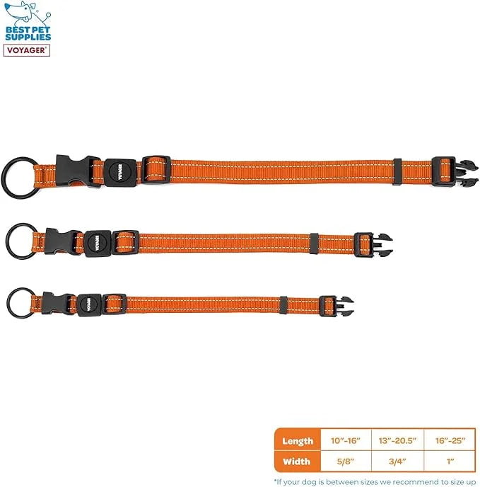 Best Pet Supplies Reflective Dog Collar with Adjustable Length, Heavy-Duty Buckle, and Strong Leash D-Ring, Training, Walk...