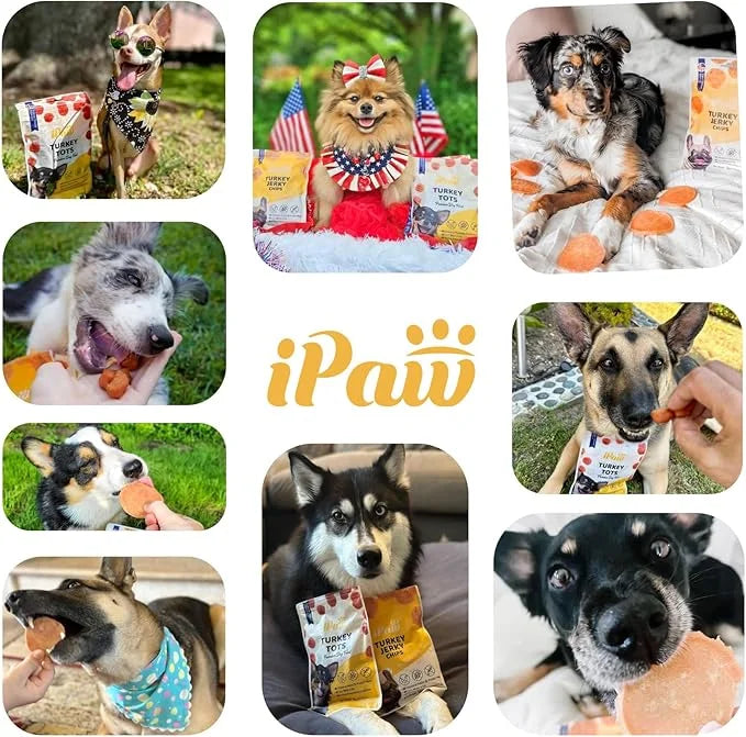 Dog Treats for Puppy Training, All Natural Human Grade Dog Treat, Hypoallergenic, Easy to Digest (Chicken Chips), 2 Packs ...