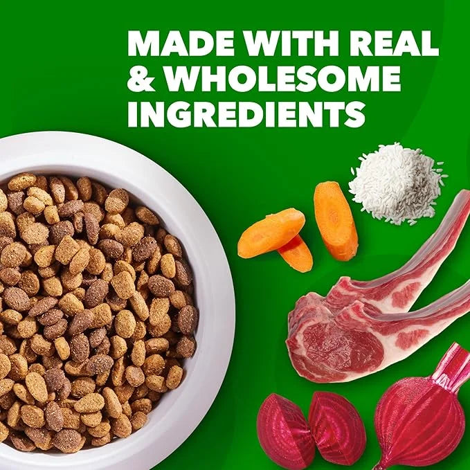IAMS Minichunks Adult Dry Dog Food Lamb & Rice Recipe Dog Kibble, 15 lb. Bag - Product Image