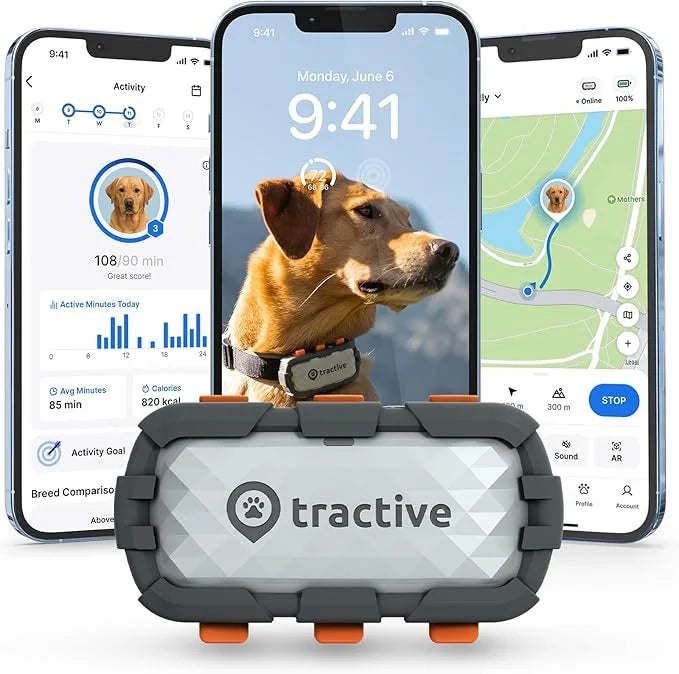 Tractive XL GPS Dog Tracker (50 lbs+) | Real-time Pet Location Tracker | Health & Wellness Alerts | Virtual Fence for Dogs...