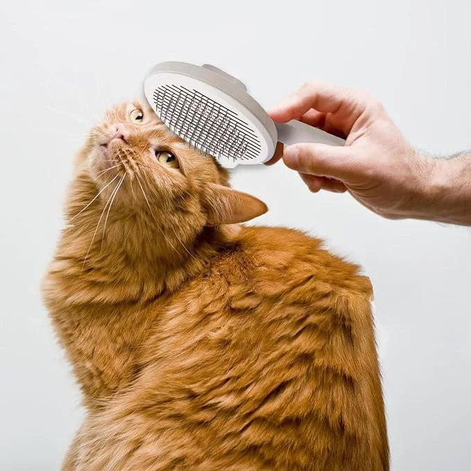 1 Pcs Cat Grooming Brush, Cat Brush Cats Grooming Dematting Comb Self Cleaning Slicker Brushes for Dogs Cats Pet for Shedd...