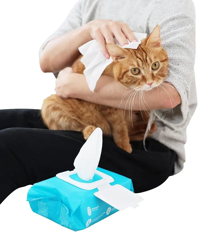 ALL FOR PAWS Pet Wipes - Coconut Vanilla Scent, 100 Wipes (4 Packs) | Ideal for Cats and Dogs, All-Over Clean with Natural...