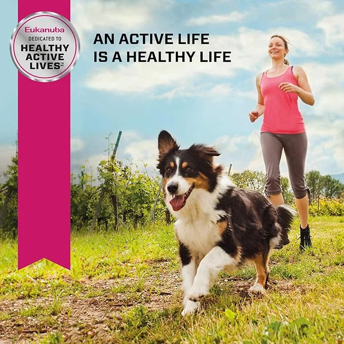 Eukanuba Adult Dry Medium Breed Dog Food, Dry Dog Food for Medium Dogs with Protein, DHA and Vitamins to Support a Healthy...