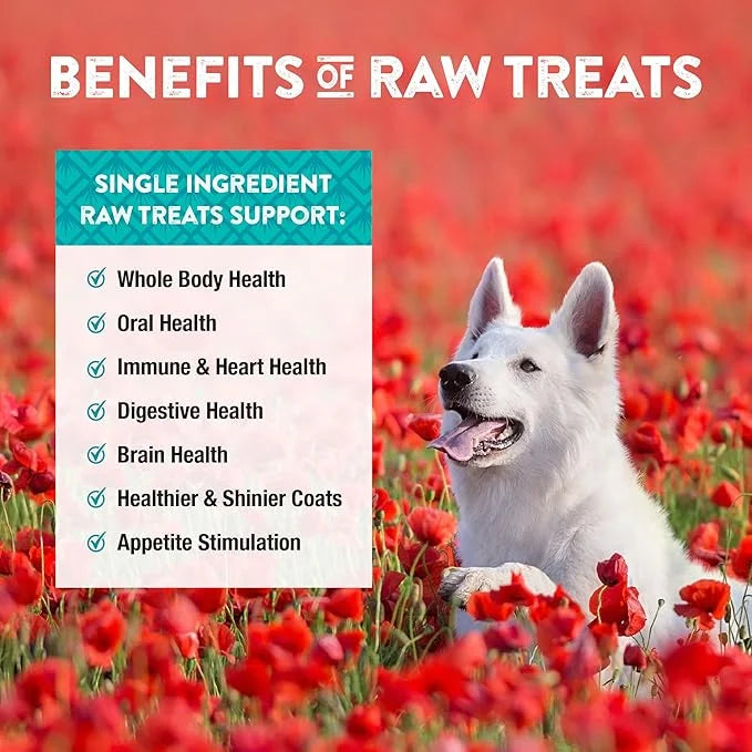 Northwest Naturals Raw Rewards Freeze-Dried Chicken Breast Treats for Dogs and Cats - Bite-Sized Pieces - Healthy, 1 Ingre...