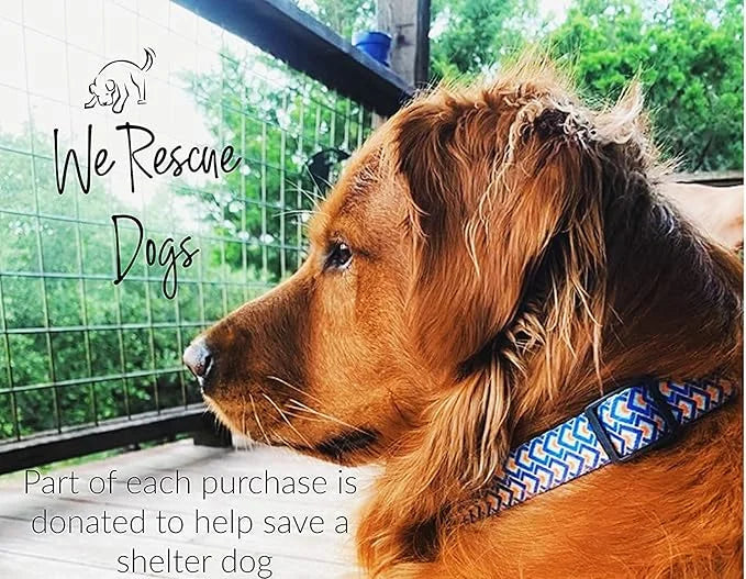 Lucky Love Dog Collar, Big Dog Collar for X-Large Dogs, Comfort Dog Collar for Boy Dogs, Beautiful & Vivid Patterns, Easy ...