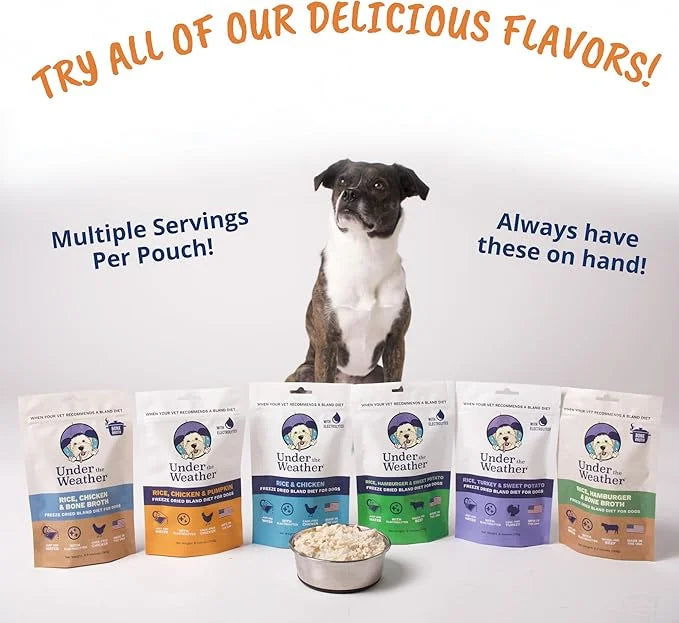 Under the Weather Bland Diet for Dogs | Easy to Digest for Sick Dogs |Always Be Ready| Contains Electrolytes - Natural Fre...
