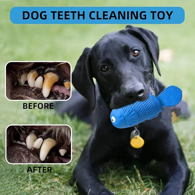 WinTour Dog Chew Toys for Aggressive Chewers, Squeaky Dog Toys, Almost Indestructible Dog Toys for Aggressive Chewers, Dur...