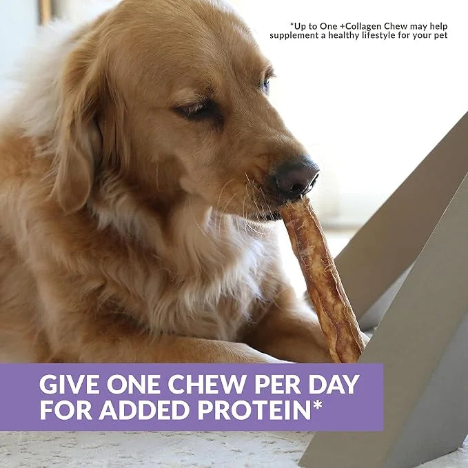 Collagen Chews for Dogs, Stick Dog Treat for Medium & Large Dogs (10" 3ct, Real Duck) - Dog Chews Long Lasting, Rawhide Fr...