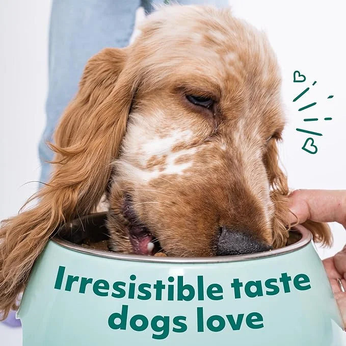 OPtimeal Dry Dog Food for Medium Dogs - Proudly Ukrainian - Dog Food Dry Recipe with High-Protein to Support Healthy Diges...