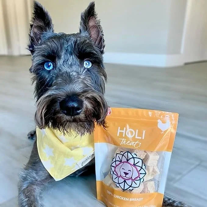 HOLI Freeze Dried Chicken Dog Treats - 100% All Natural Chicken Breast - Human Grade, Single Ingredient - Grain Free, Glut...